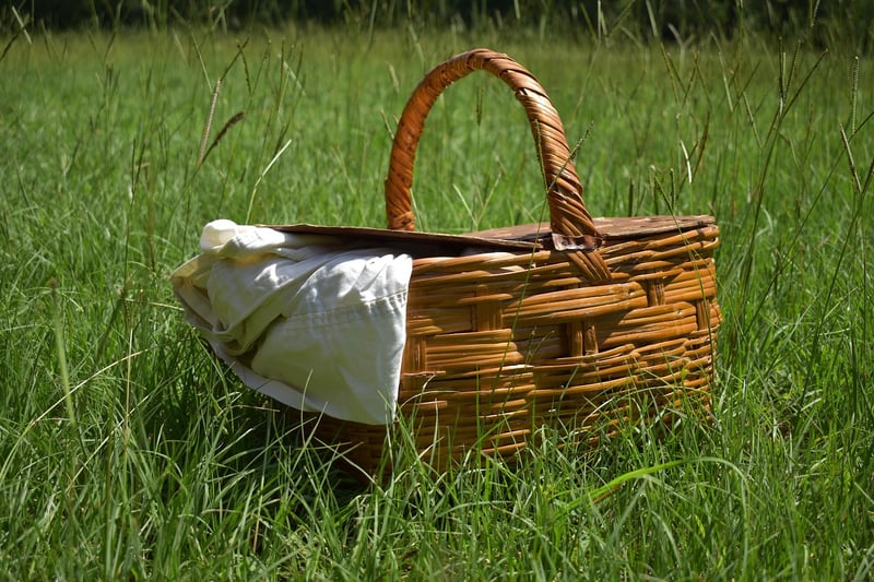 Picnic Spread